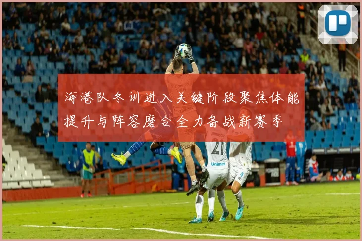 海港队冬训进入关键阶段聚焦体能提升与阵容磨合全力备战新赛季